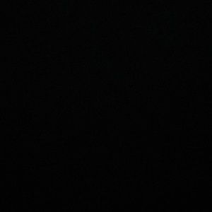 Meet your Posher, Janice